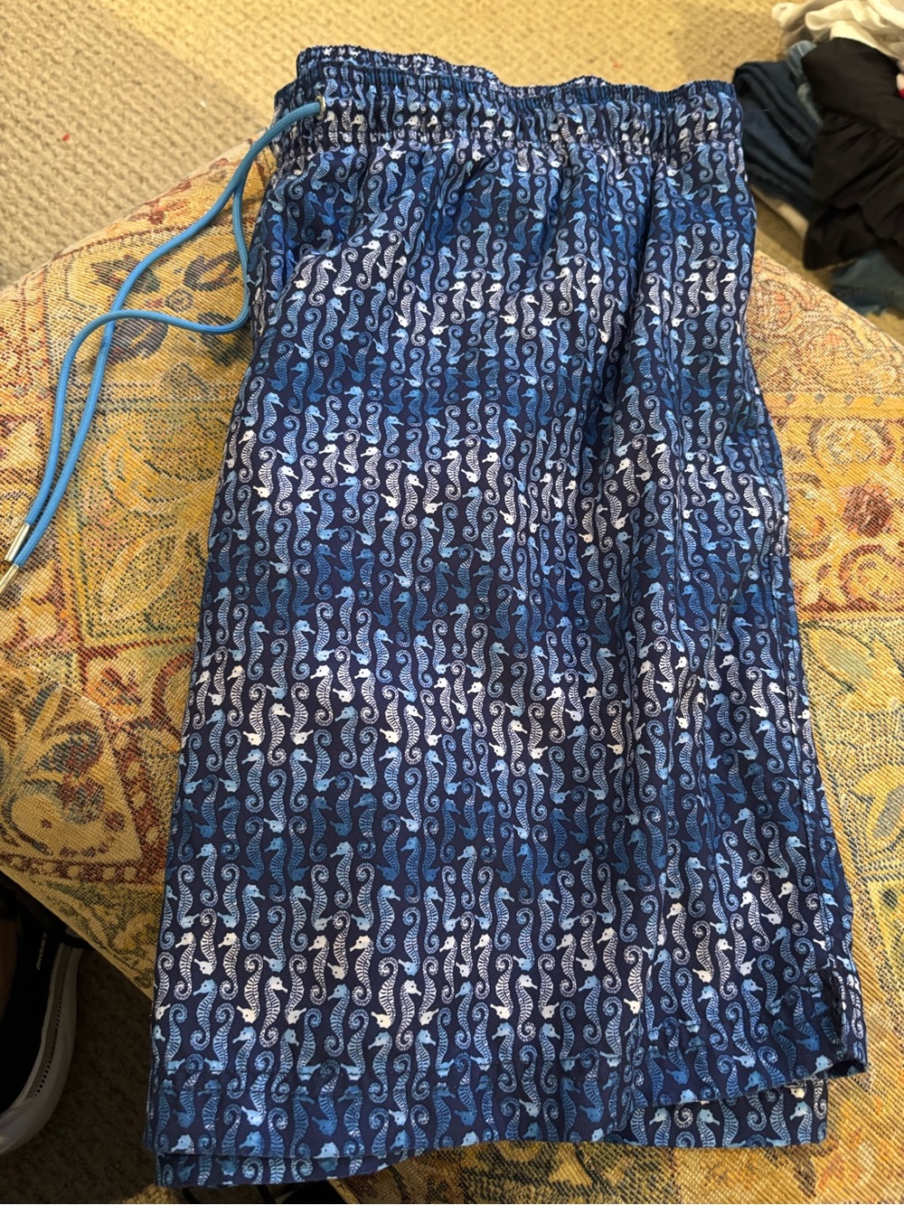 Lands' End Men's Blue Seahorse Print Swim Trunks